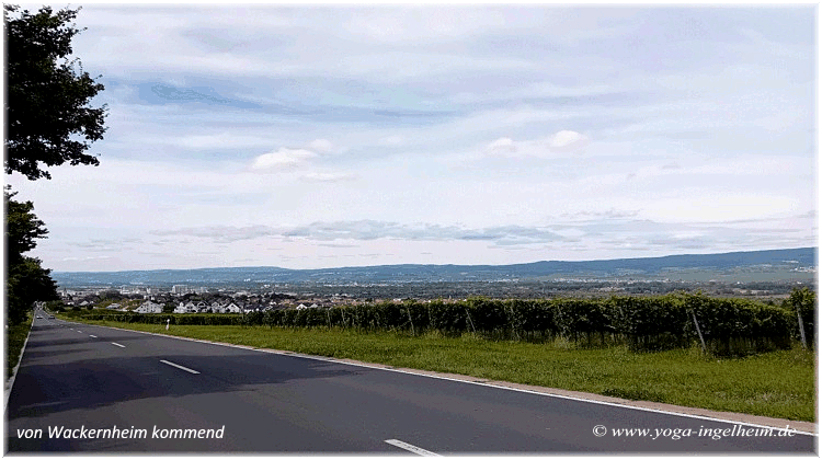 Bild des Monats von Yoga-Ingelheim in Ingelheim